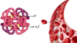 هموگلوبین