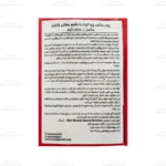 وی مکس پرو الیت مکس ماسل3