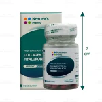 کپسول کلاژن نوع 2 و هیالورونیک اسید نیچرز پلنتی 2