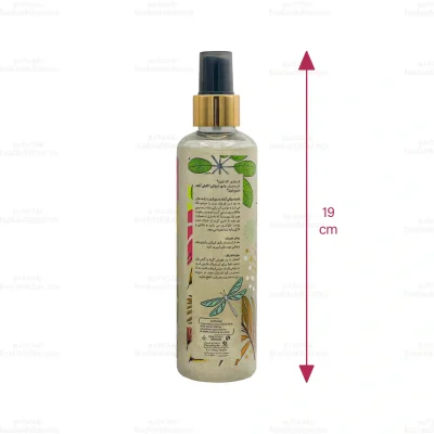 بادی اسپلش اکلیلی آیلند دریم شون 2